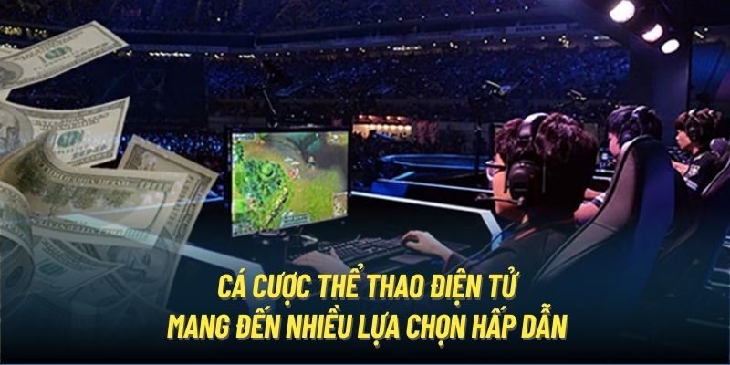 Cá cược thể thao điện tử mang đến nhiều lựa chọn hấp dẫn