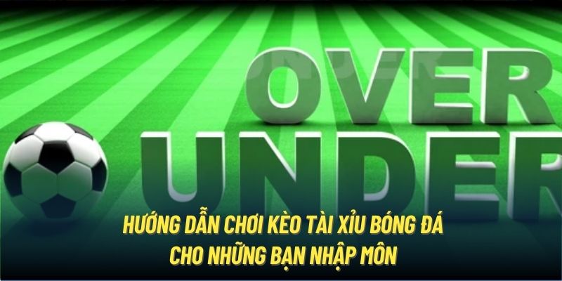 Hướng Dẫn Chơi Kèo Tài Xỉu Bóng Đá Cho Những Bạn Nhập Môn