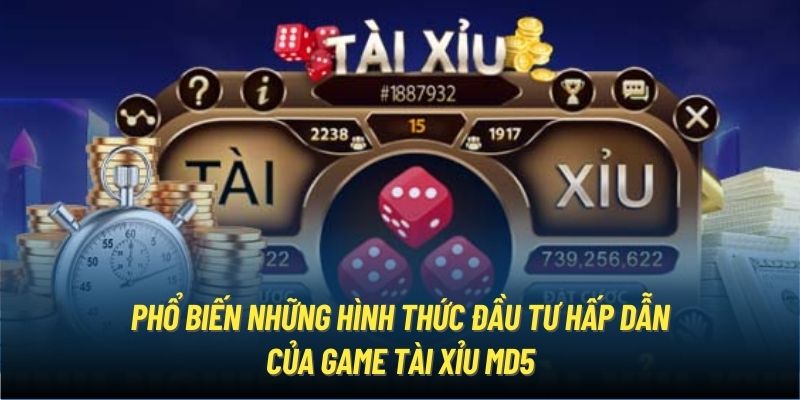 Phổ biến những hình thức đầu tư hấp dẫn của game Tài Xỉu MD5