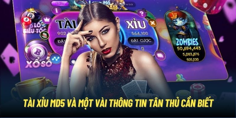 Tài Xỉu MD5 Ku3933 và một vài thông tin tân thủ cần biết